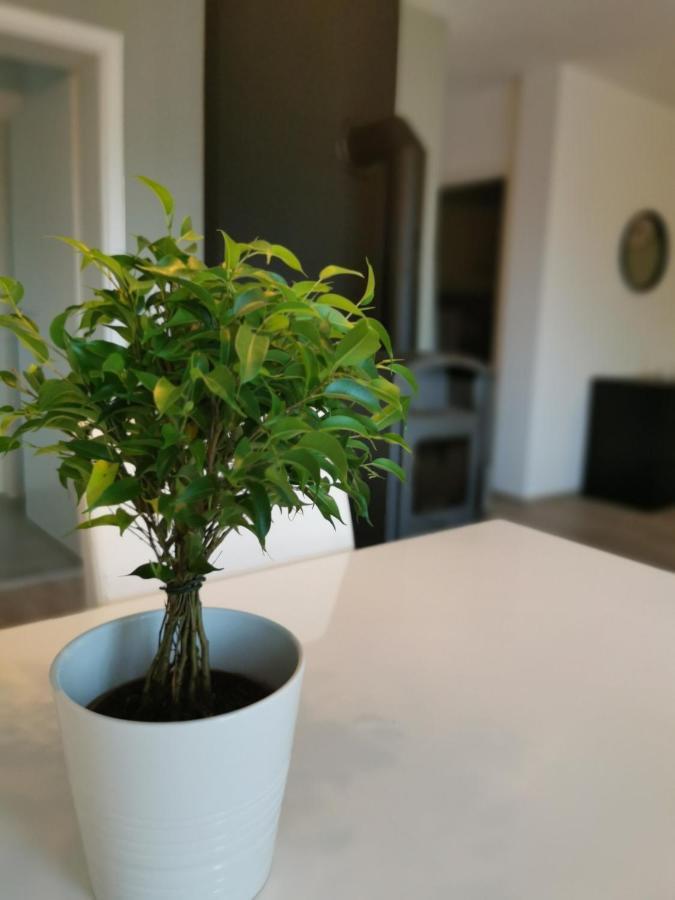 Ferienwohnung Auf Villa Hendschhof ซังคท์เวนเดล ภายนอก รูปภาพ